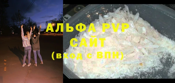 прущие грибы Белокуриха
