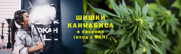 прущие грибы Белокуриха