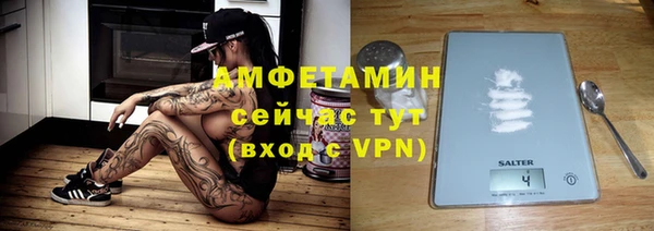 прущие грибы Белокуриха