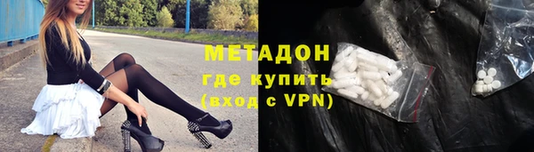 прущие грибы Белокуриха