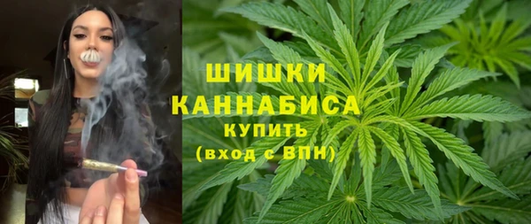 прущие грибы Белокуриха