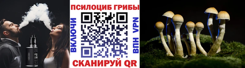 darknet формула  где купить   Бирюсинск  Галлюциногенные грибы Psilocybe 